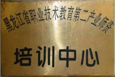 1995年经被黑龙江省教委批准，成为“黑龙江省职业技术教育第二产业师资培训中心”