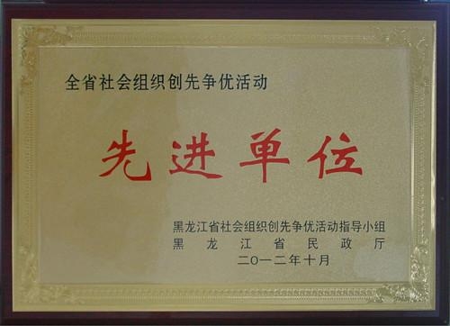 黑龙江省社会组织创先争优活动先进单位