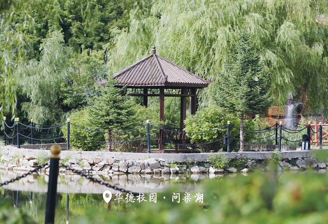 2025级新生期待“荷”你共赏 华德校园！