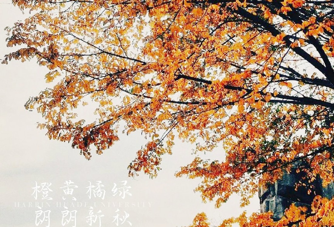 冬天来临之前，再回味一遍秋的温柔