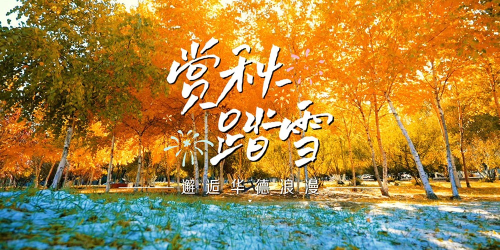 深秋与初冬浪漫邂逅华德校园#季节限定#北方浪漫