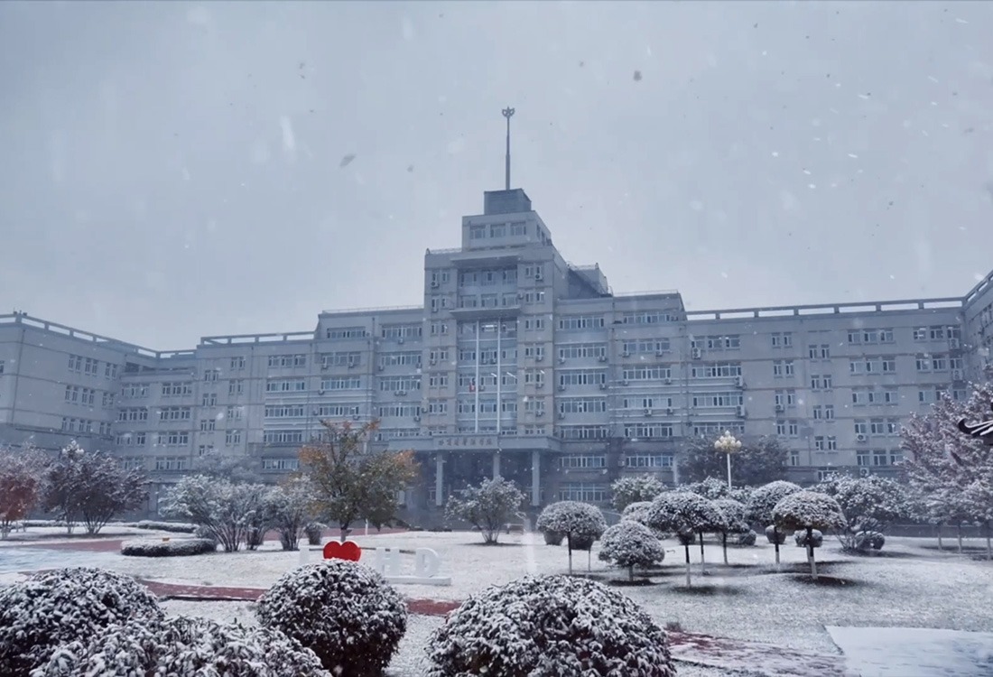 北国飞花，落雪为信，哈尔滨华德学院邀您共赴冰雪奇境！​