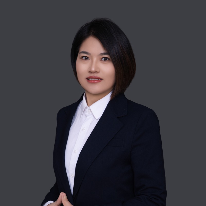 丁文飞 教授