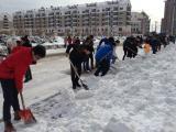 迎战暴风雪 华德师生在行动