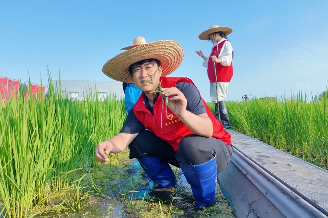 超燃暑假！华德学子奔赴祖国各地，以青春之力赋能乡村振兴
