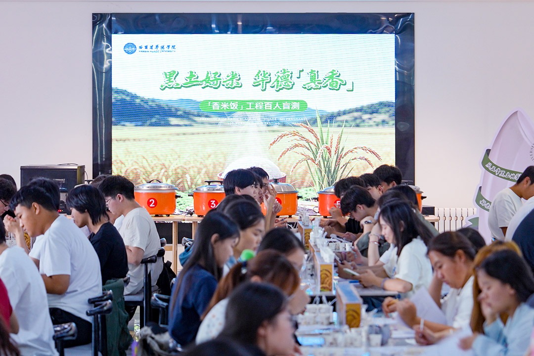 100份“挑剔”，几百公里的“计较”，只为一碗“香米饭”